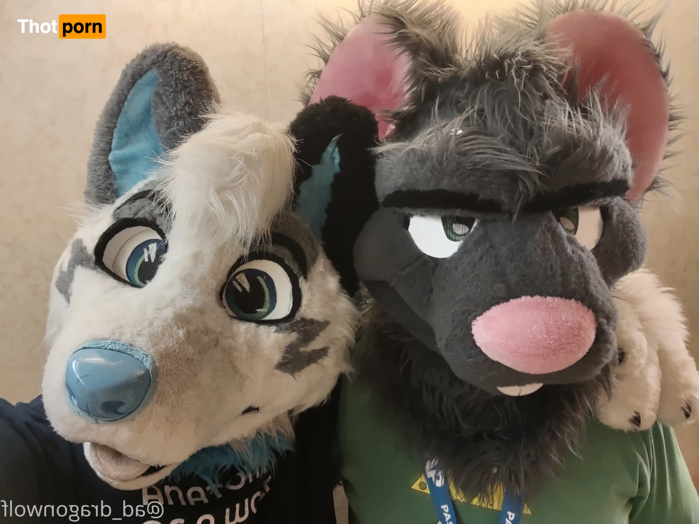 AD_DragonWolf 16205089