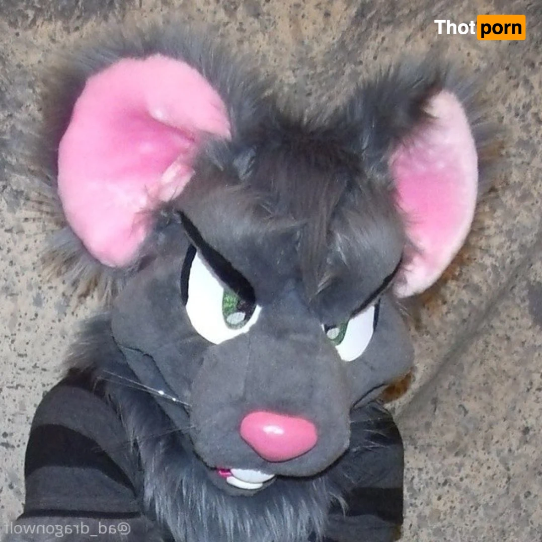 AD_DragonWolf 16205137