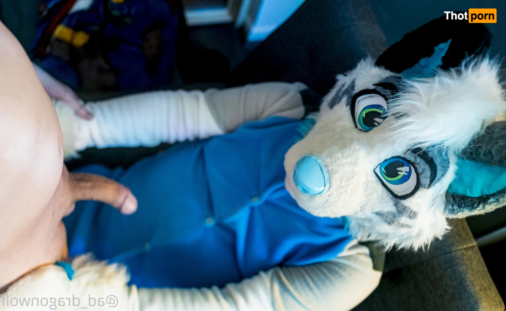 AD_DragonWolf 16205185