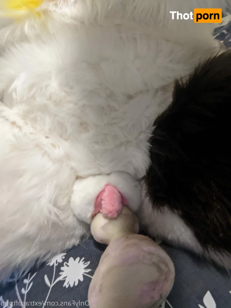 Puppy💖🐶 3662291