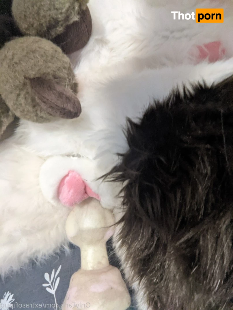 Puppy💖🐶 3662691