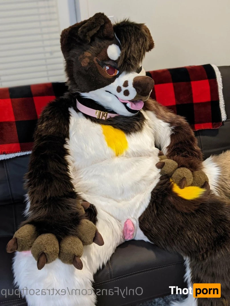 Puppy💖🐶 3663111