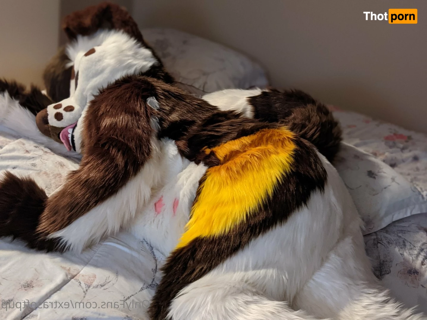 Puppy💖🐶 3663321