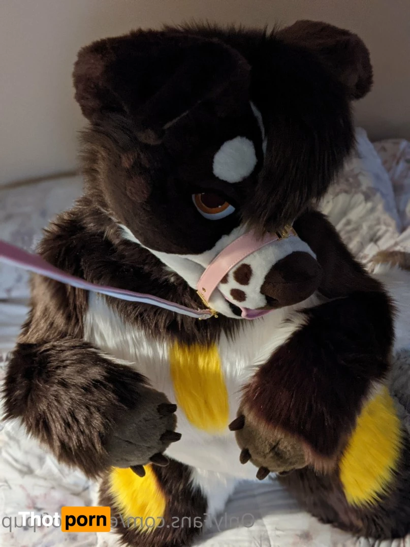 Puppy💖🐶 3663623