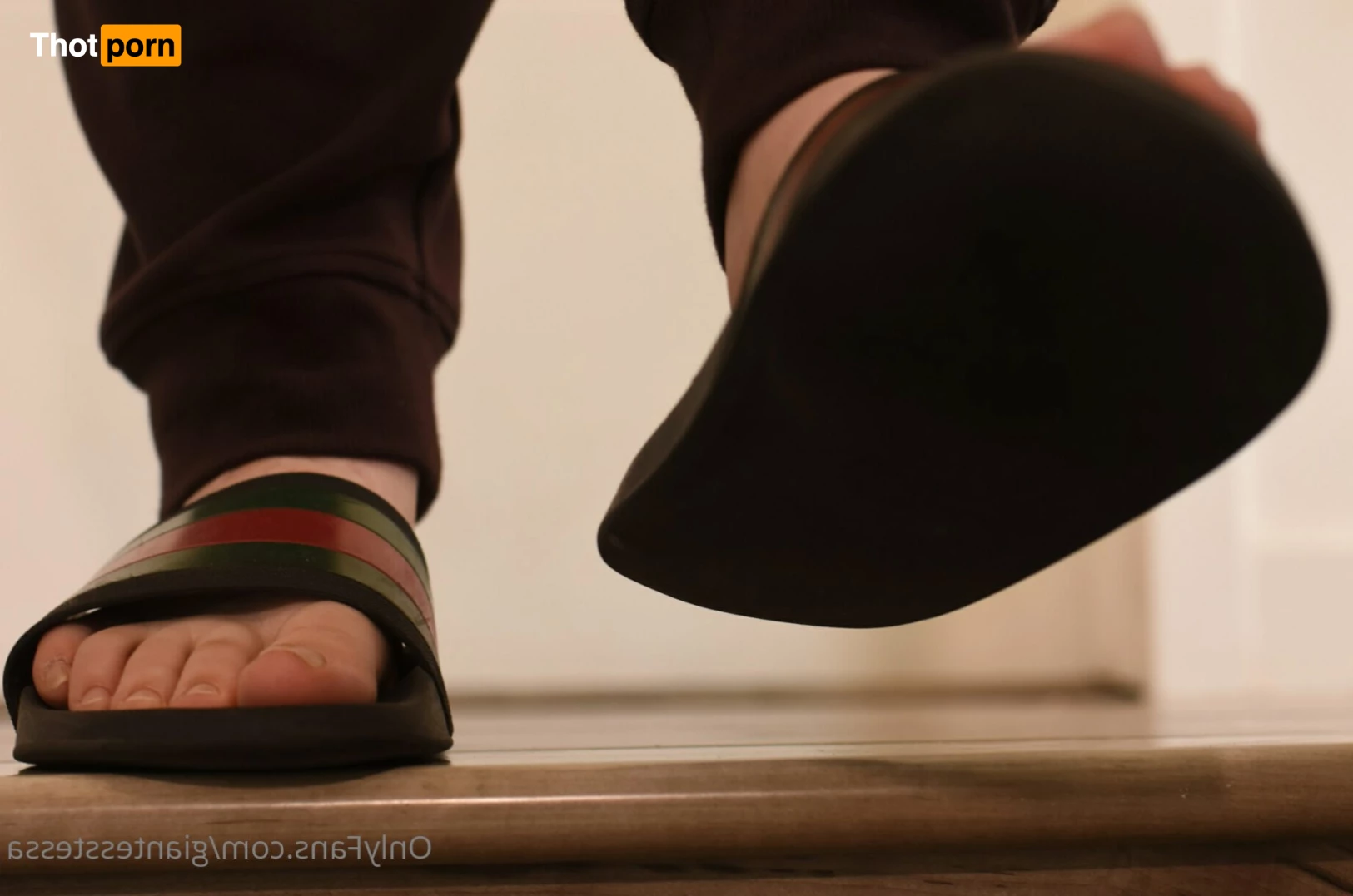 Tessa the Giant 6553073