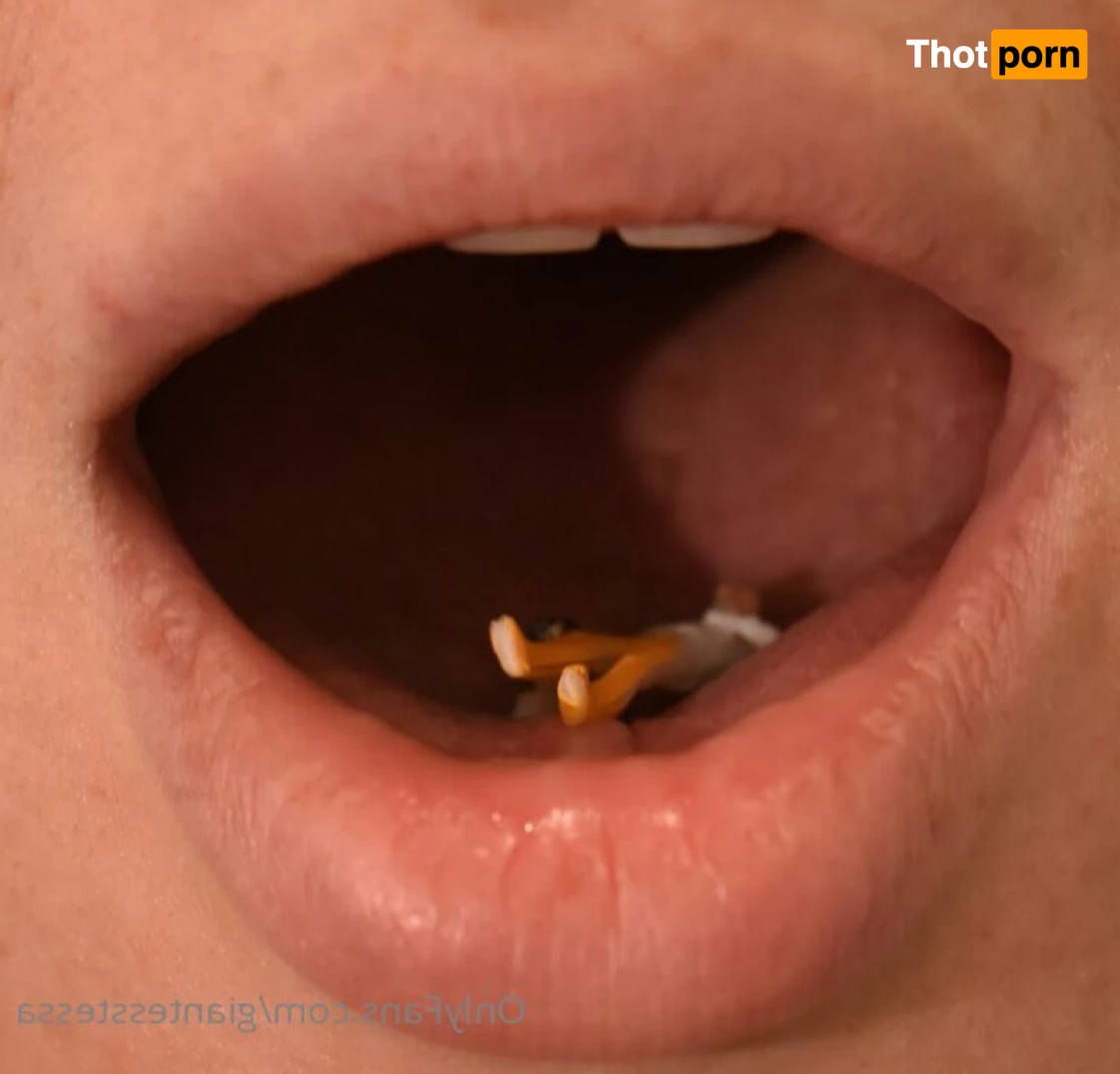 Tessa the Giant 6553111