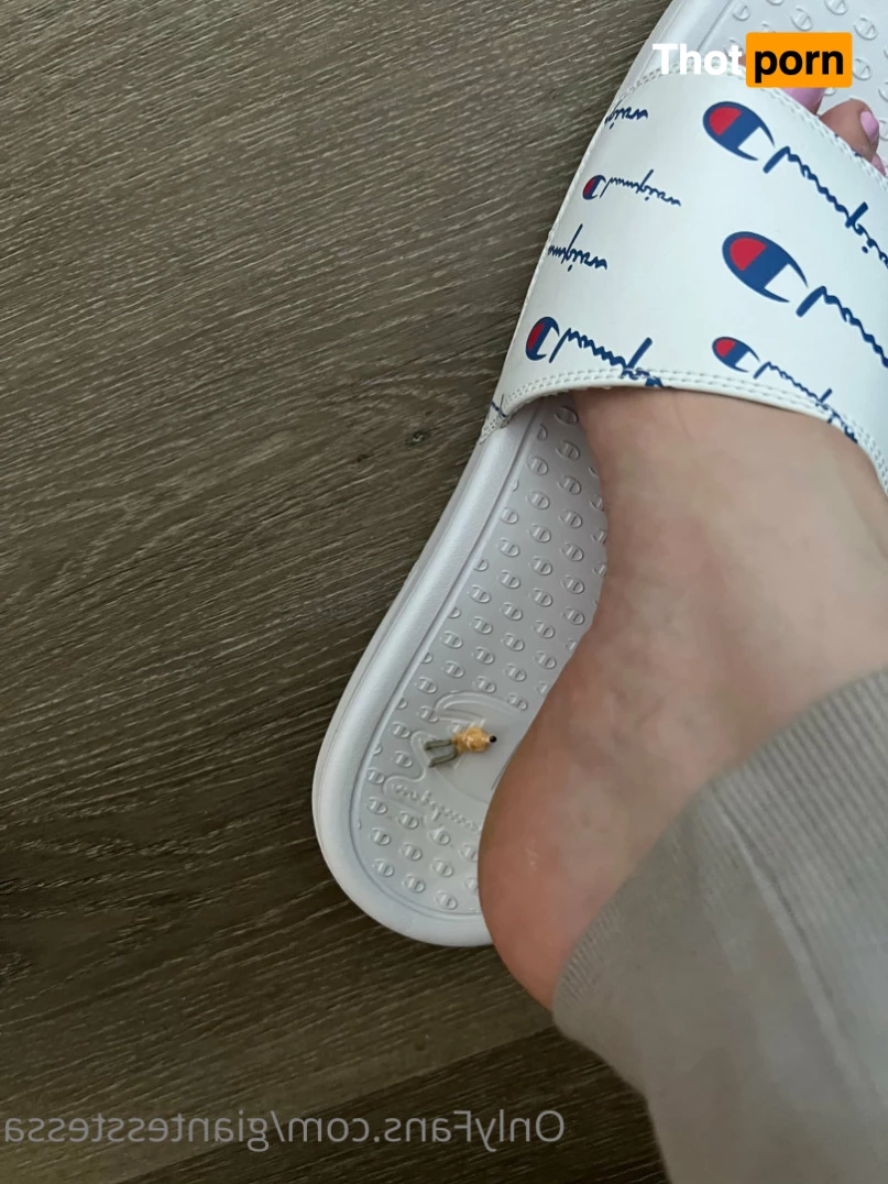 Tessa the Giant 6553120