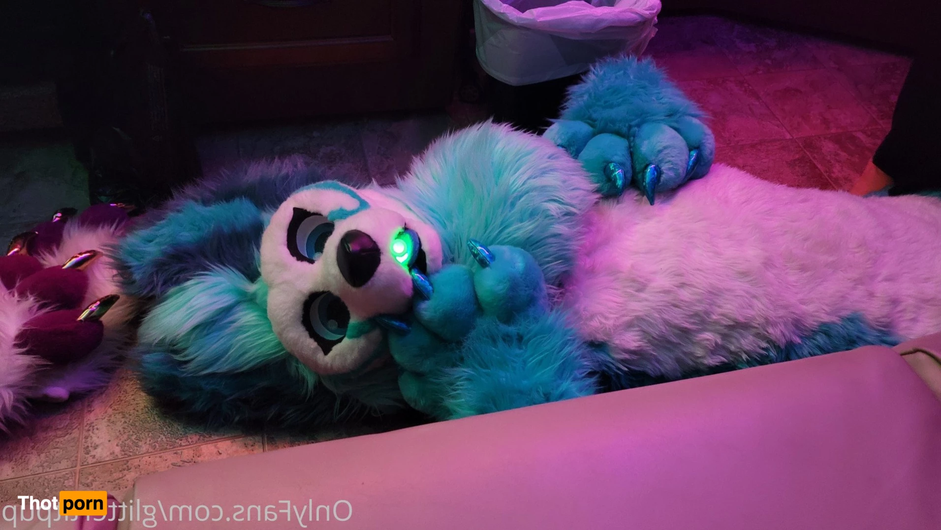 Glitter Tit Pup 4008595