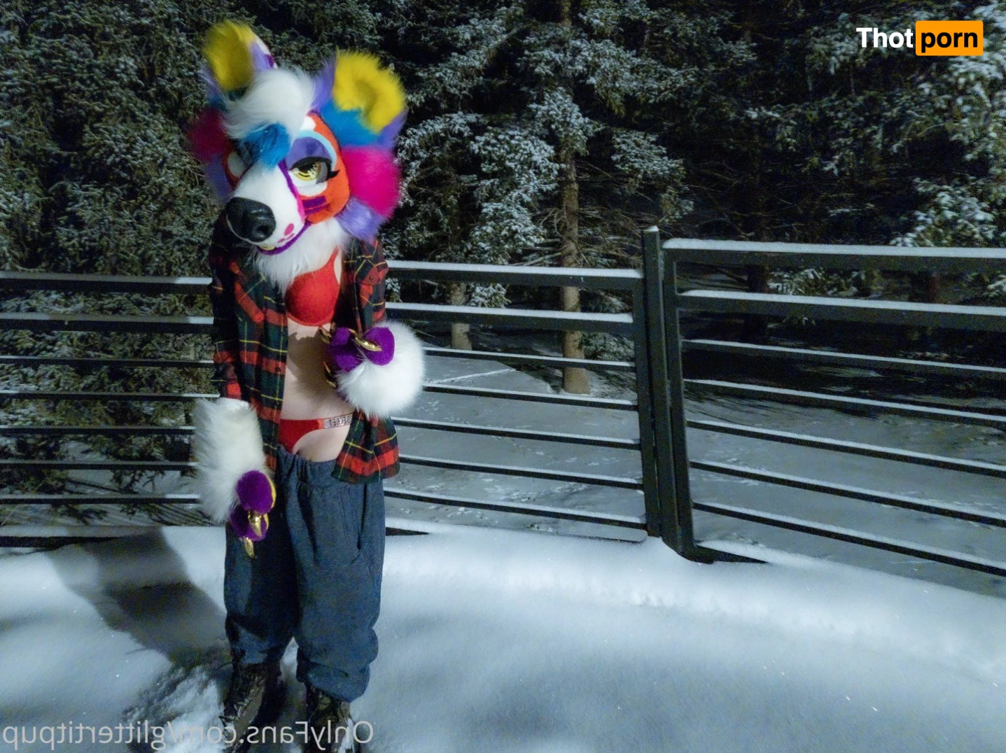 Glitter Tit Pup 4010464