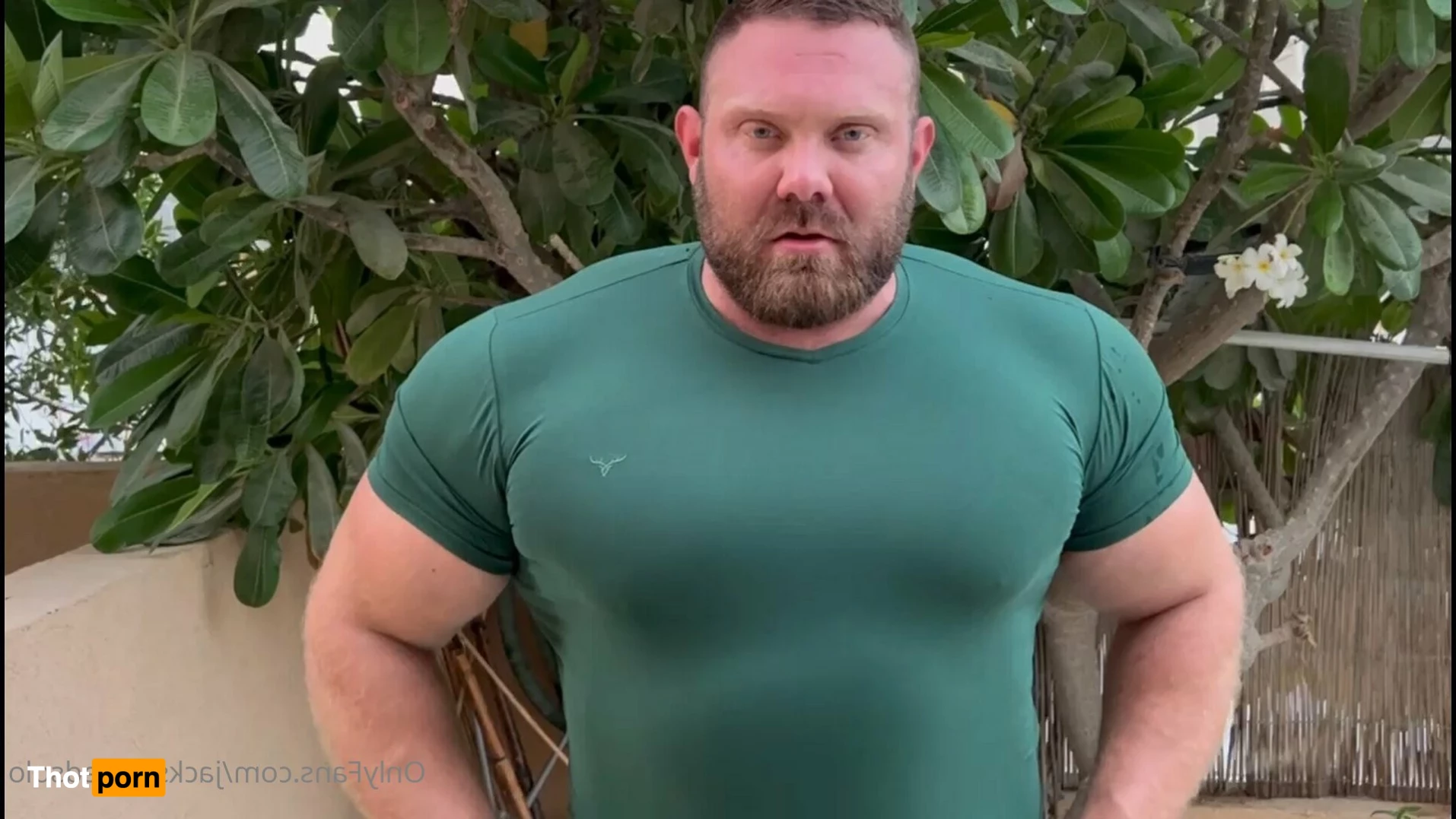 Jack Stacked Solo 2157066