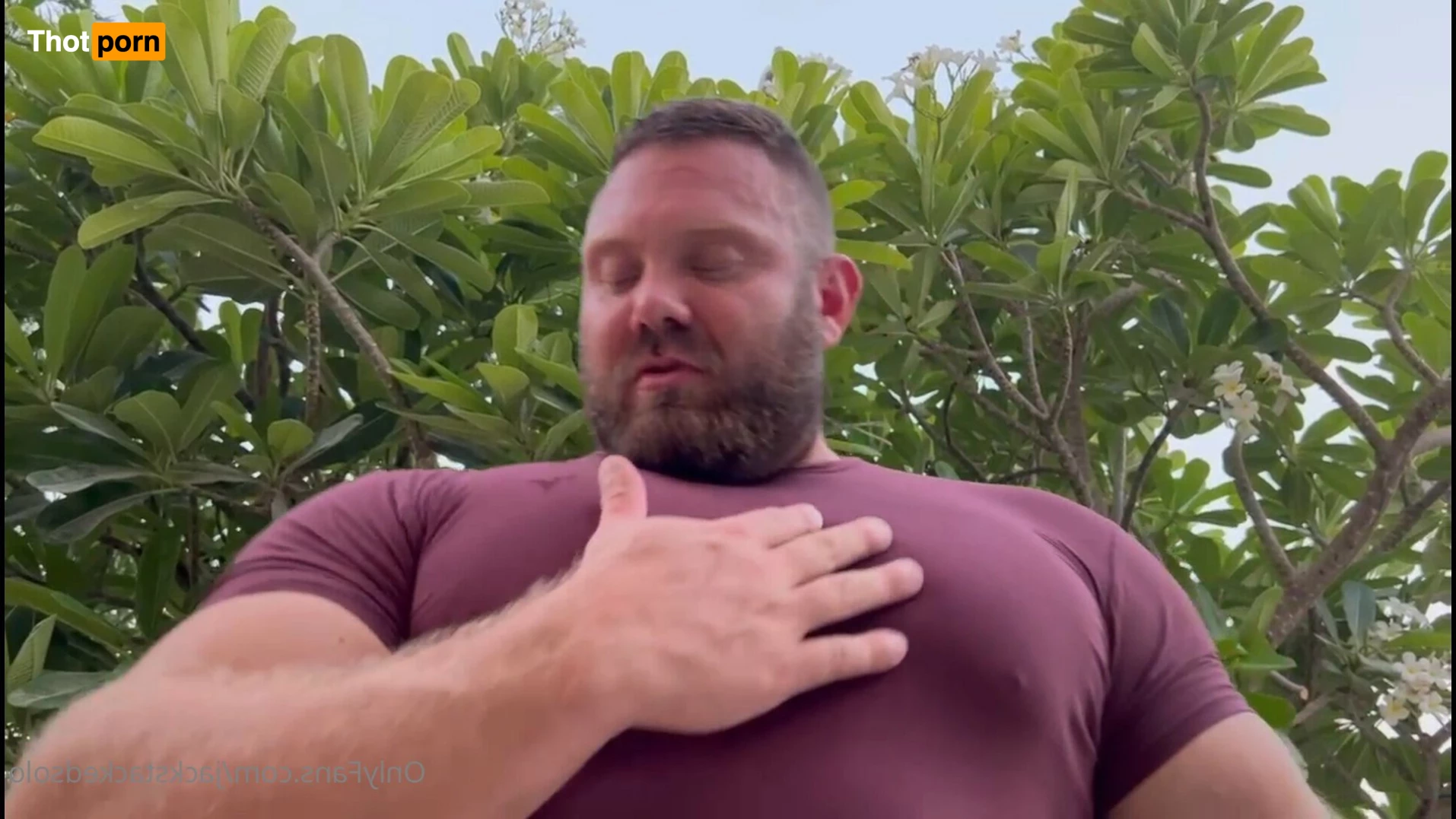 Jack Stacked Solo 2157070