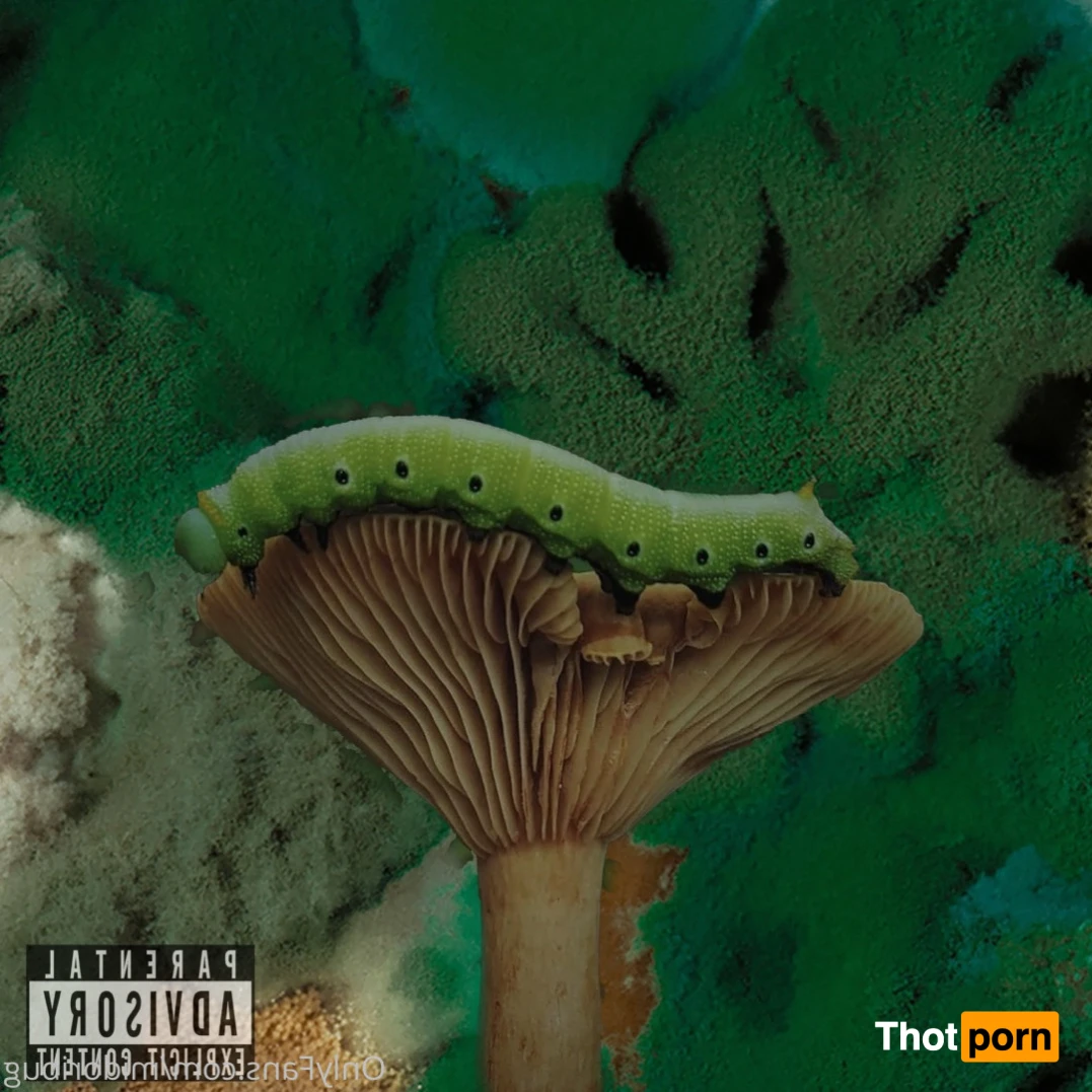 ʍìժօɾì🌱 12817434