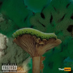 12817434