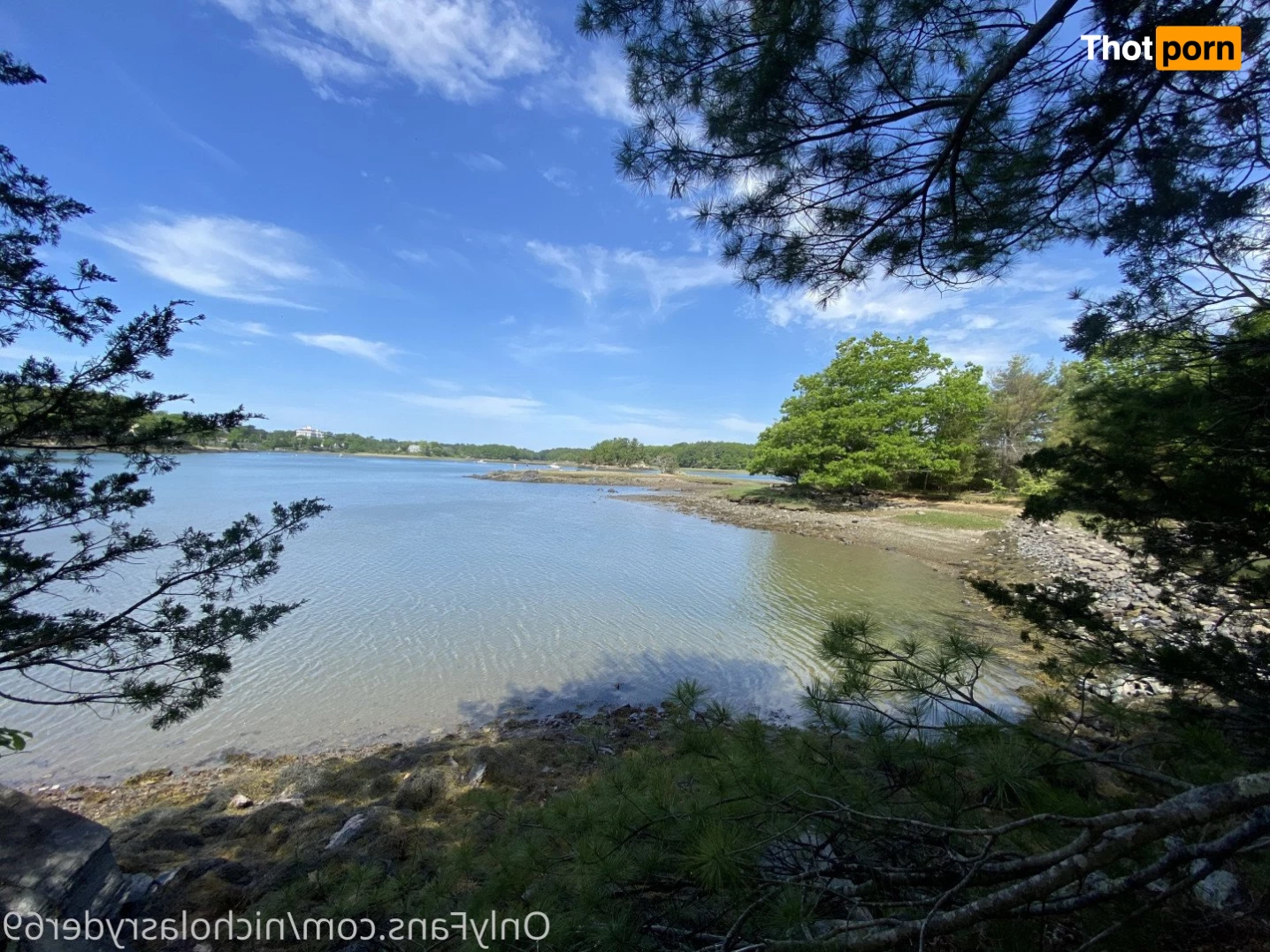 nicholas ryder 2155062