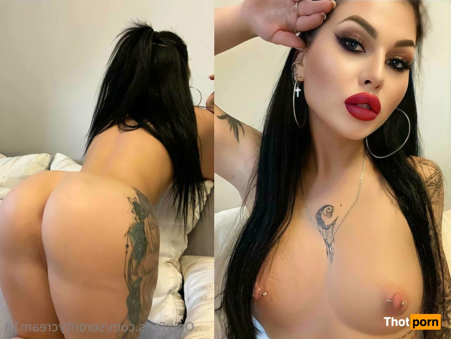 Alpha Phi Freshman 📚 12792670