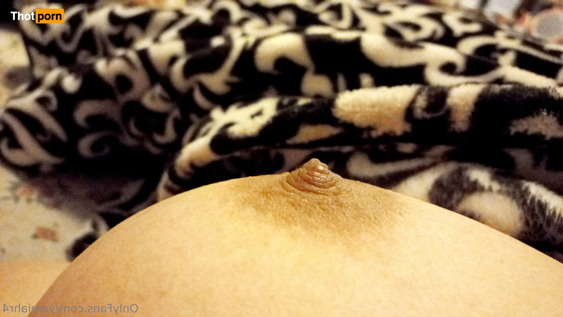 Itzel Andrade 12737501