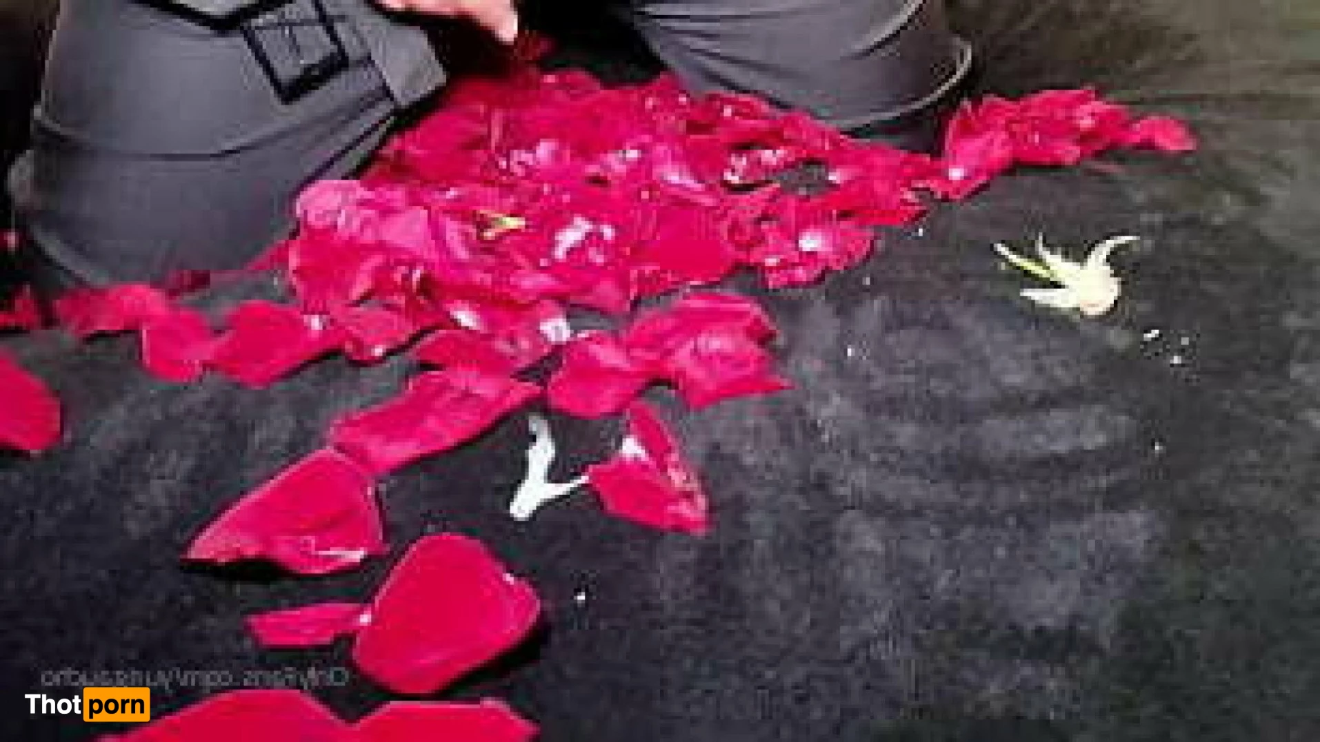 Yuri Gaúcho 2151079