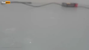 2184256