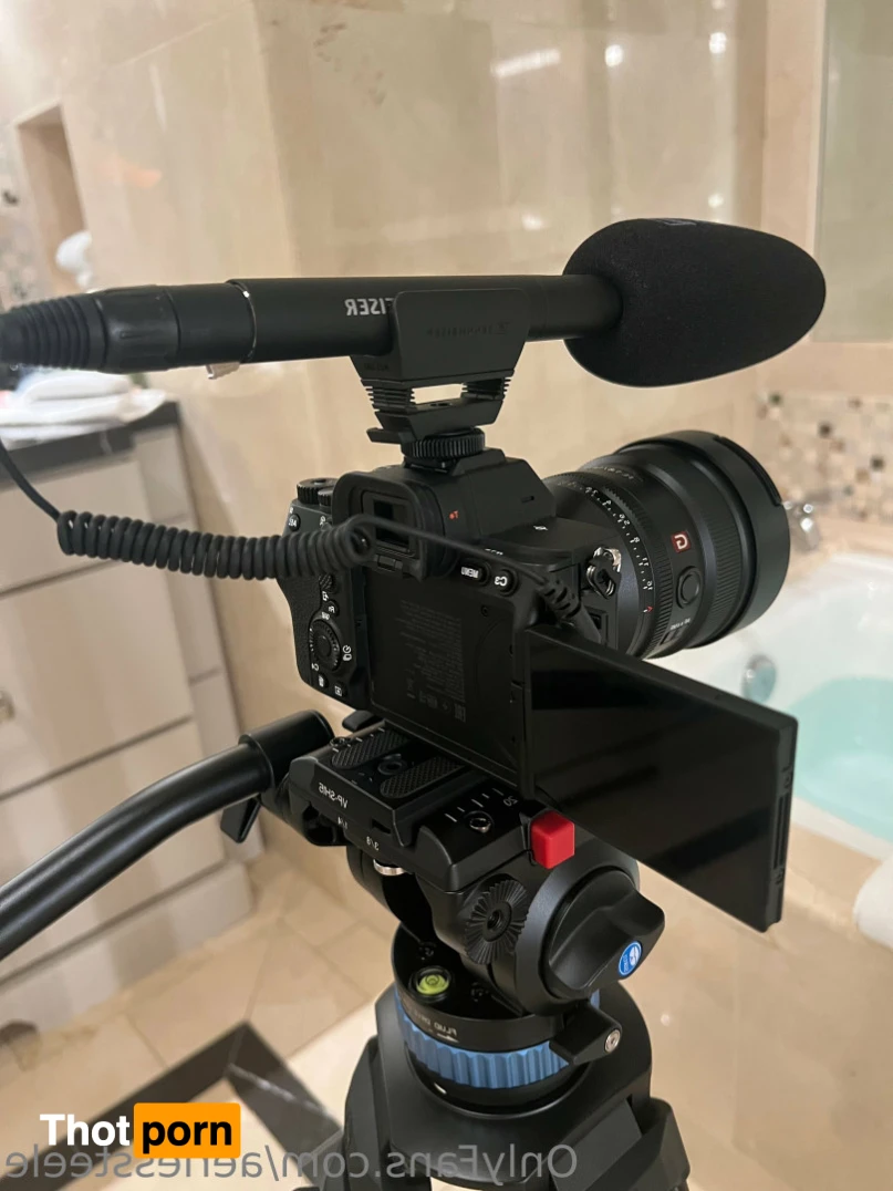 Aeries Steele 12736109