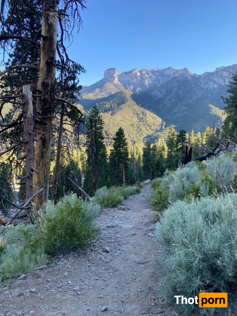 johnny stone free OF 2132159