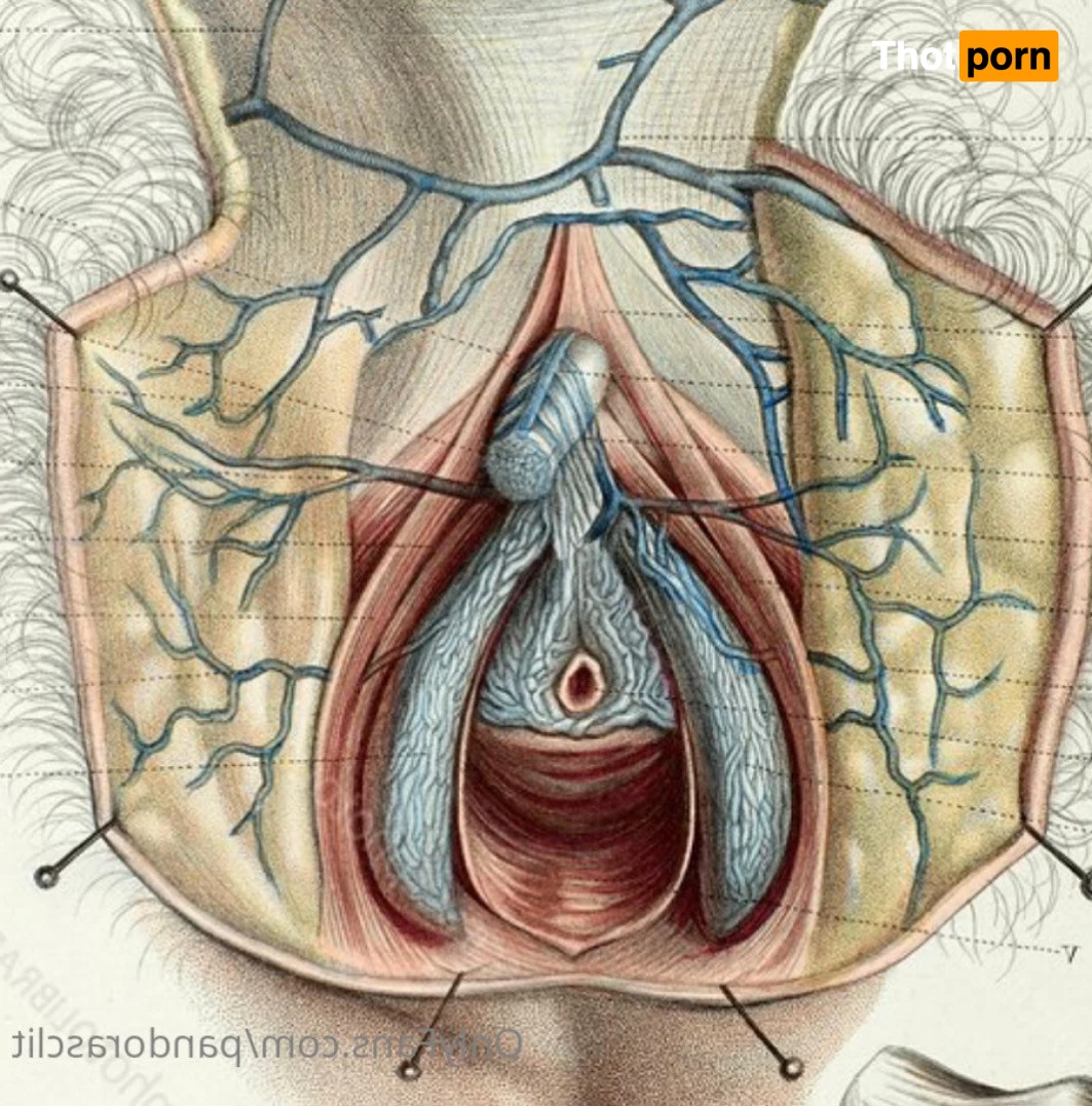 Pandora’s Clit 4457744