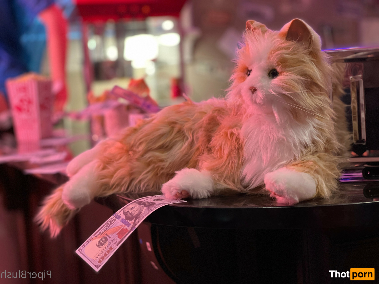 Piper Blush Free 16569747