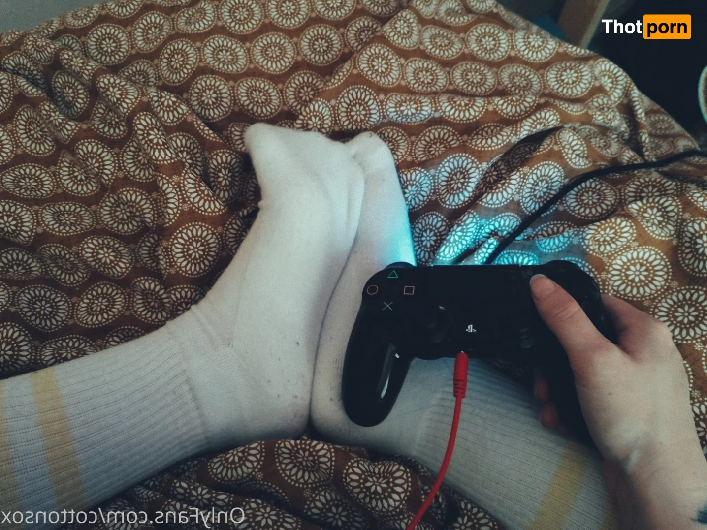 Alice CottonSox FREE 2123620