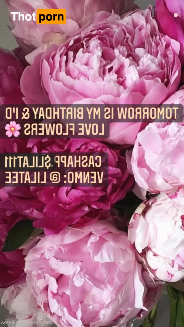 Curvy Big Boobs 😋 Lila Tea 4058821