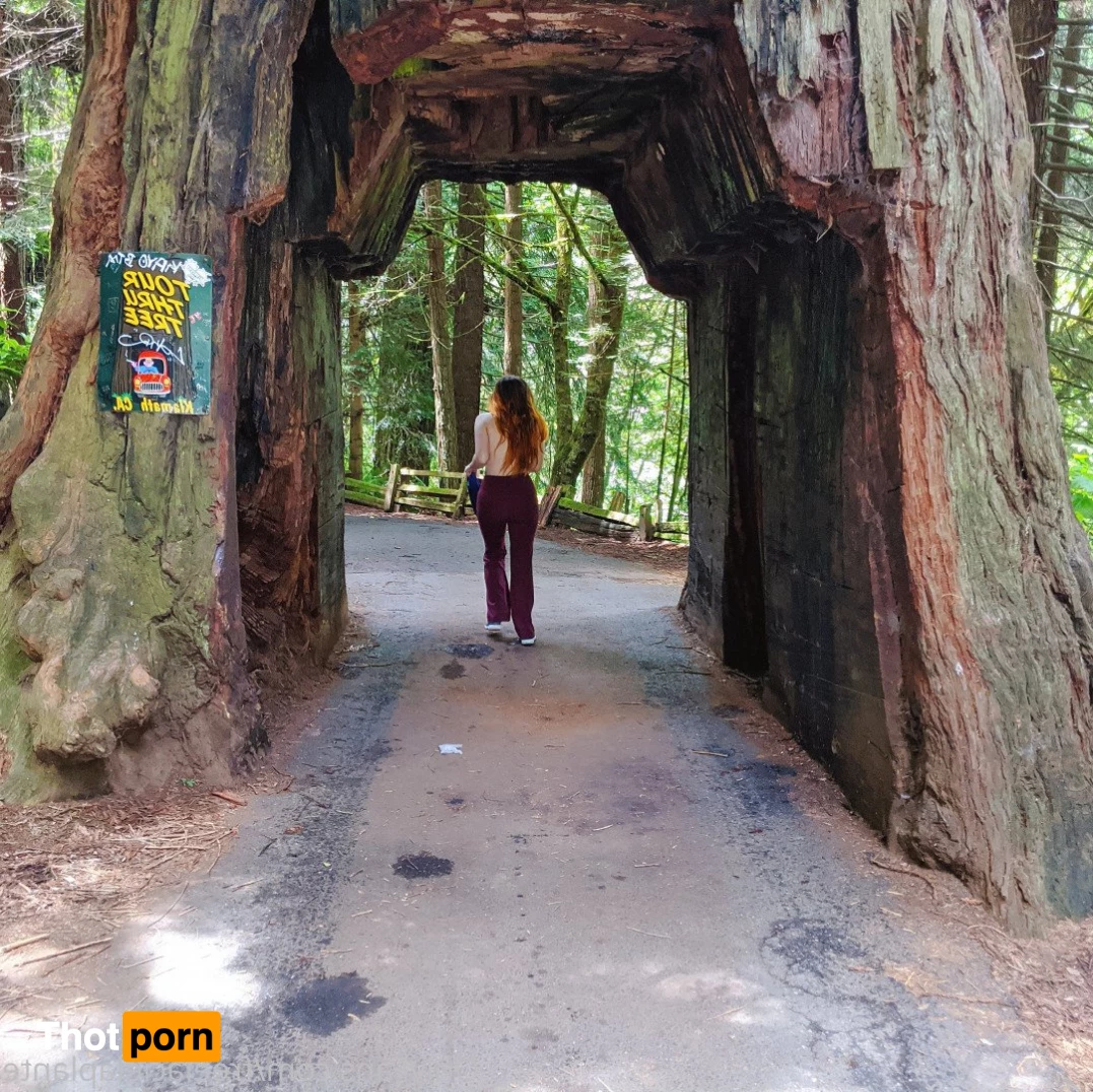 LacieLaPlante.com 2139402