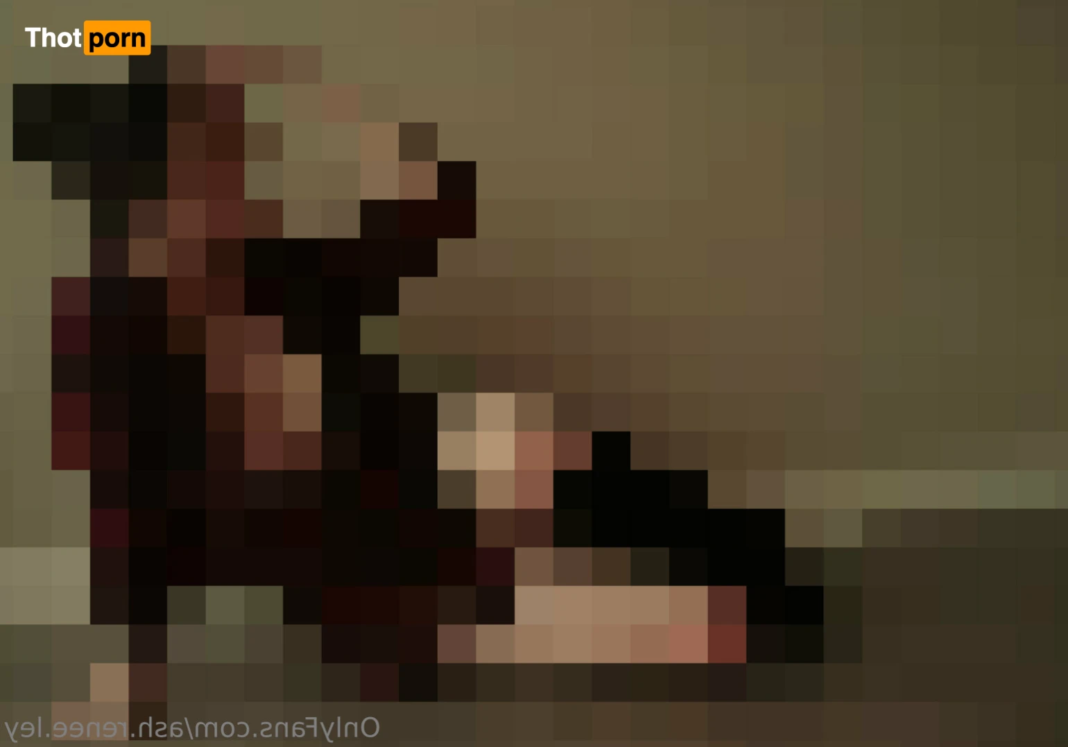 Ashley Renée 11731811