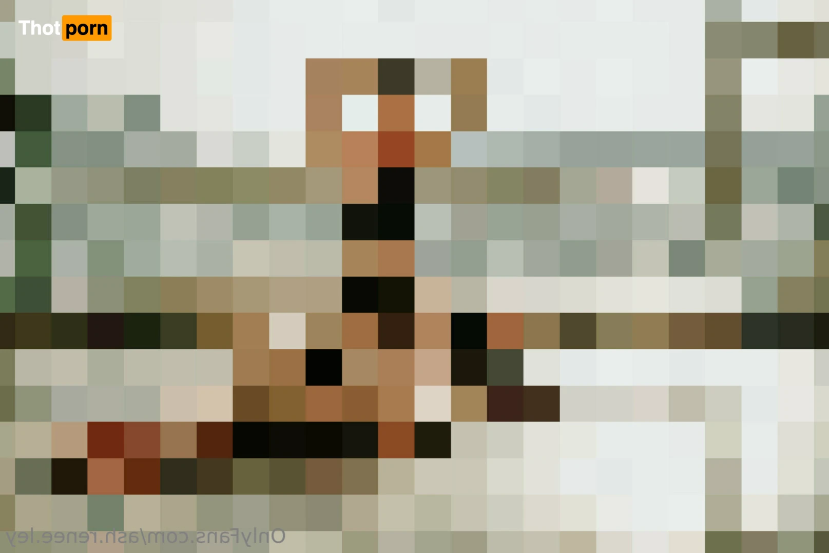 Ashley Renée 15087847