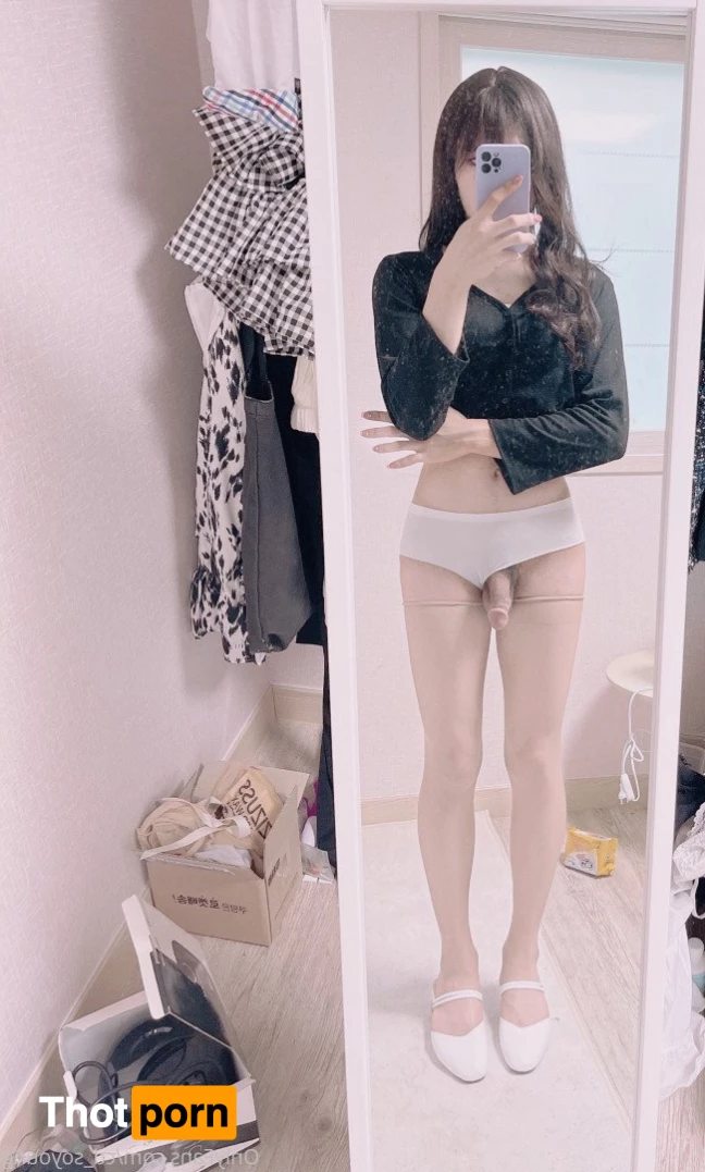 시디소영 4231884