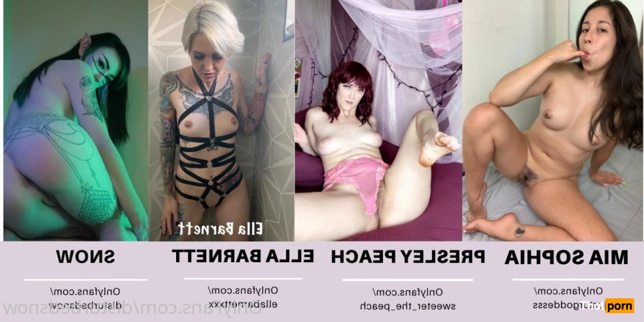 Snow ❄️ Top Creator 2260531