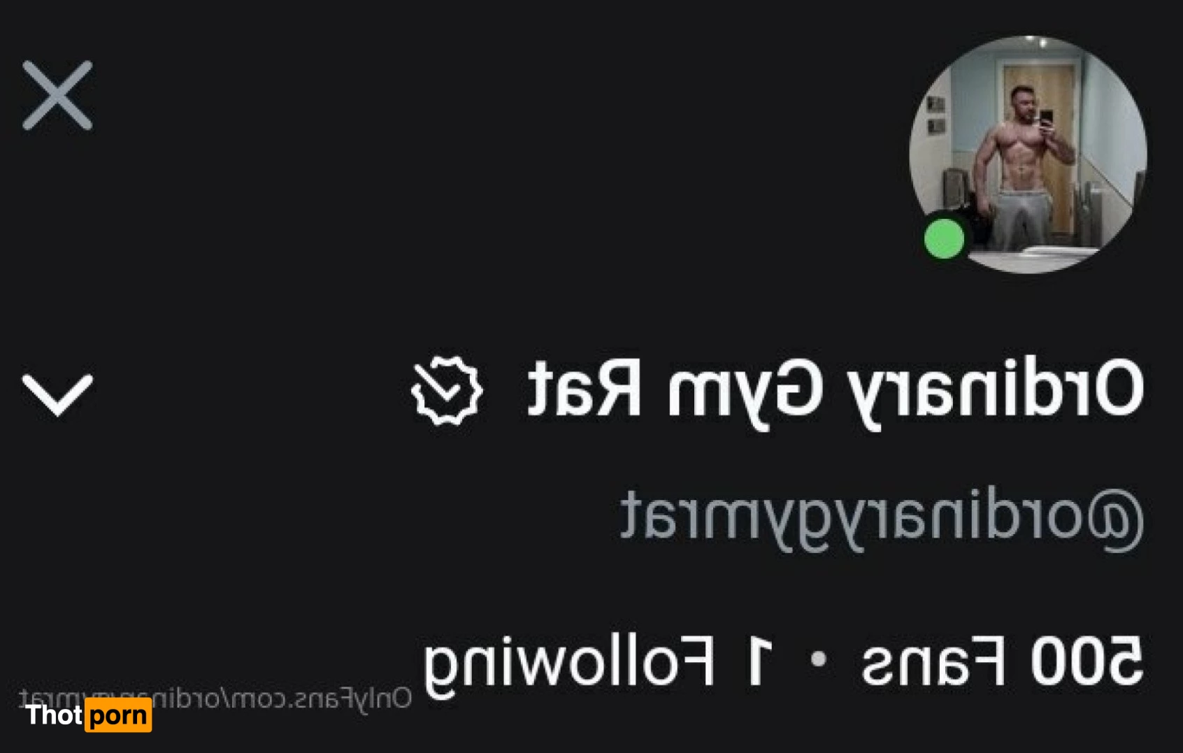 ordinarygymrat 4168835