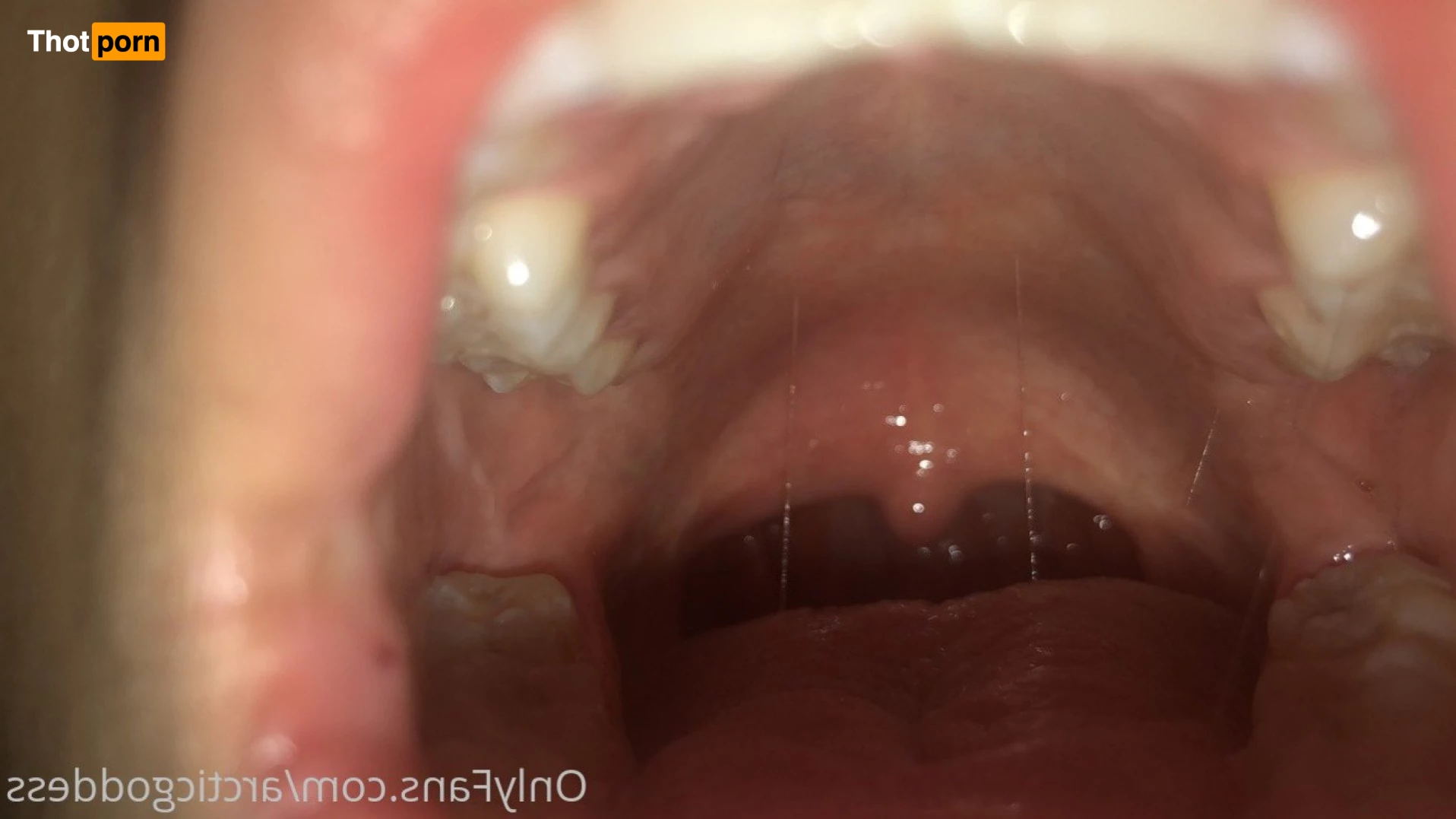 Arctic Goddess 4189285