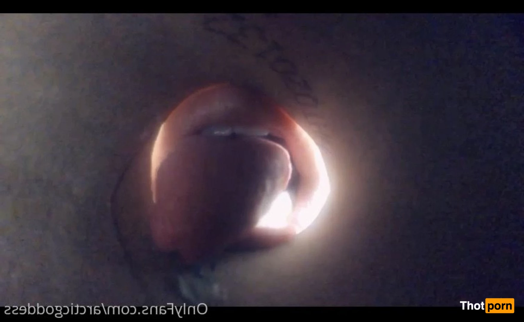 Arctic Goddess 4190710