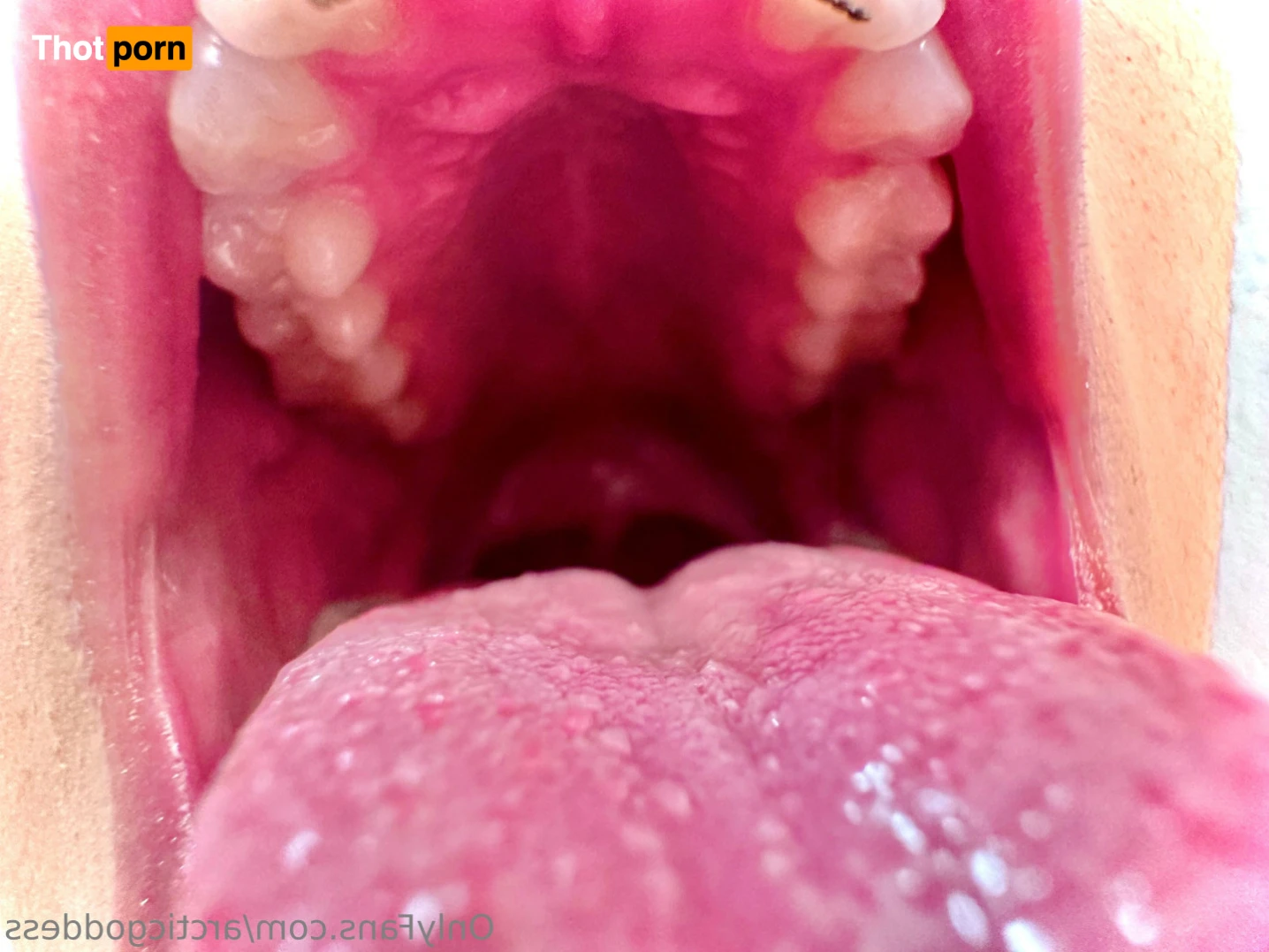 Arctic Goddess 11181606