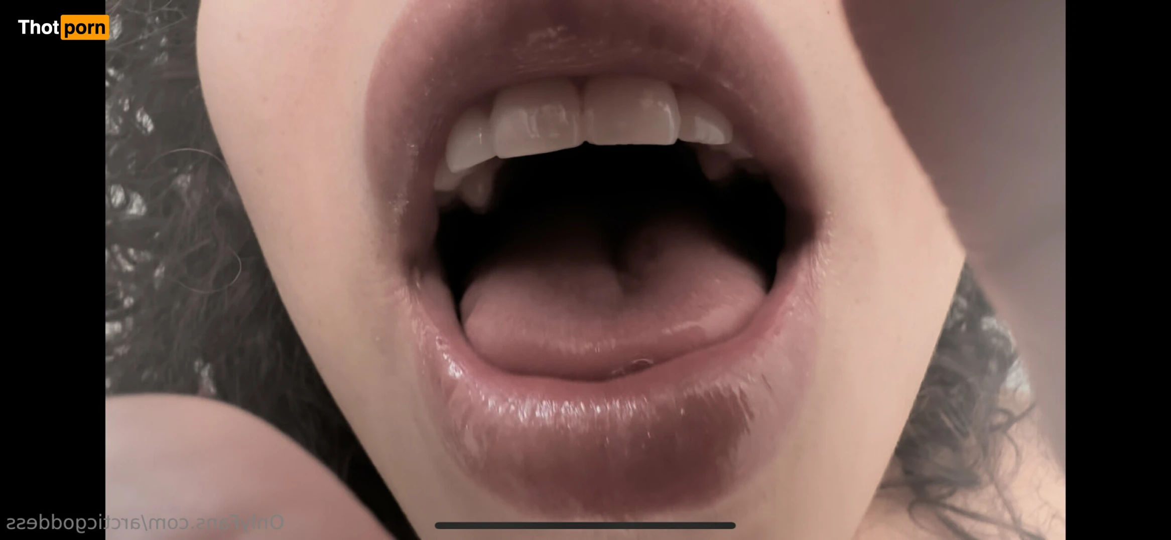 Arctic Goddess 11337408