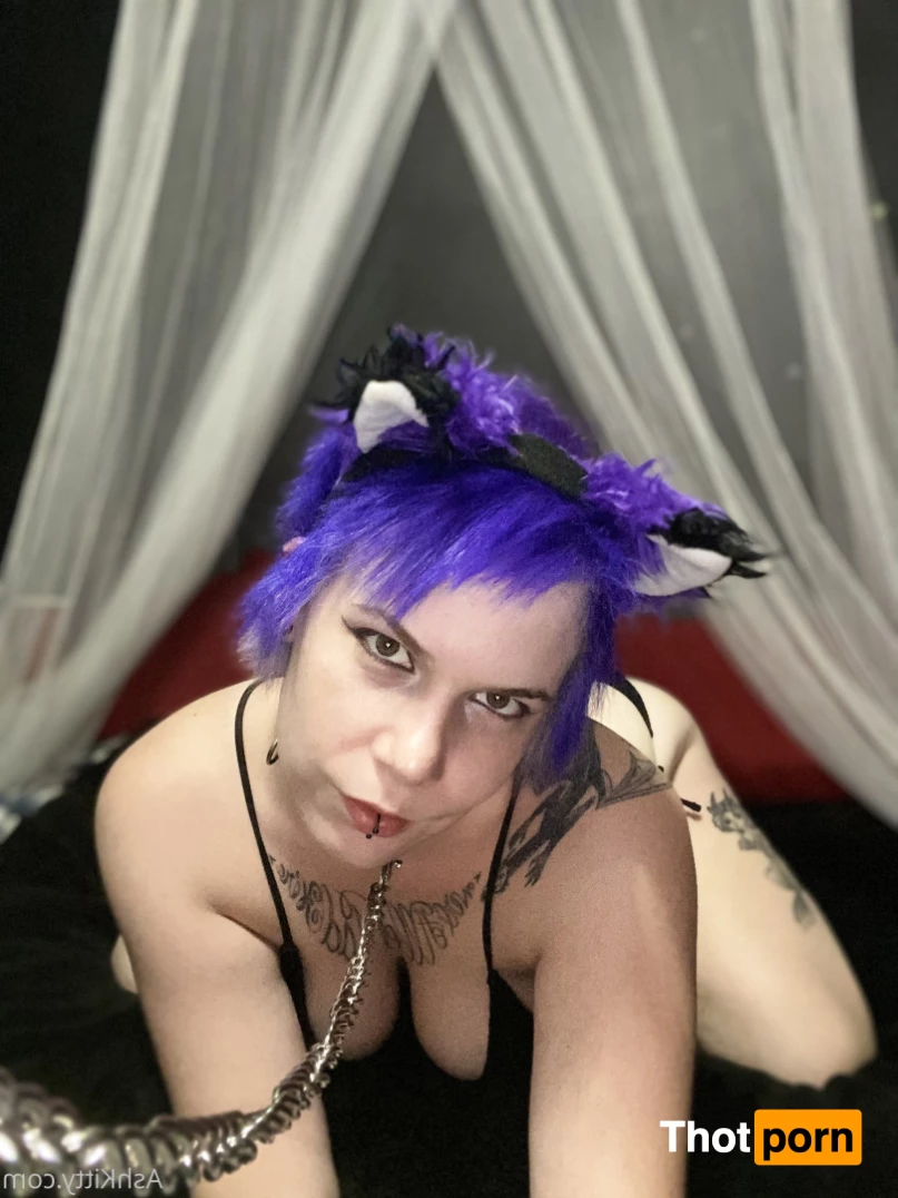 FREE AshKitty 5939786