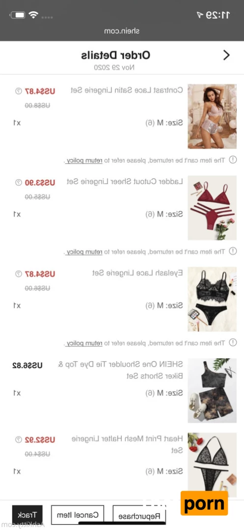 FREE AshKitty 5939895