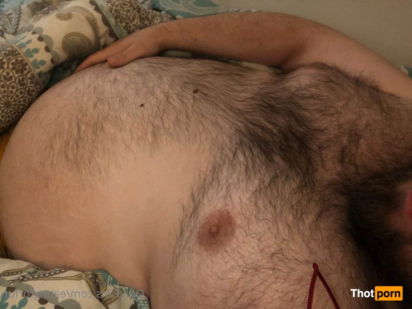 Big Bear Eats 2242595