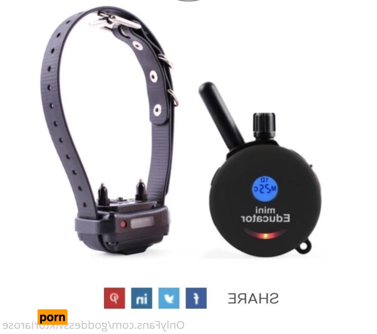 Viktoria Rose 3612161