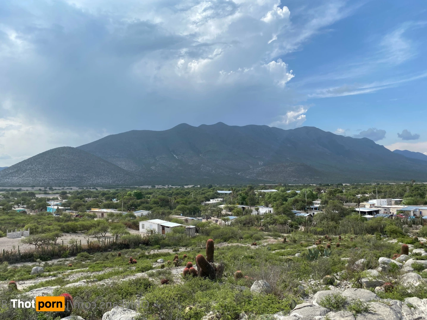 Jade ｡⋆ʚ♡⃛ɞ 6461842