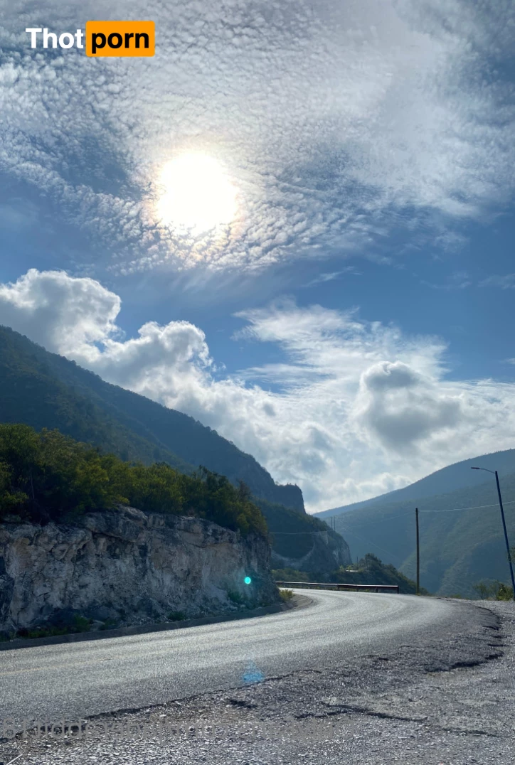 Jade ｡⋆ʚ♡⃛ɞ 6461906