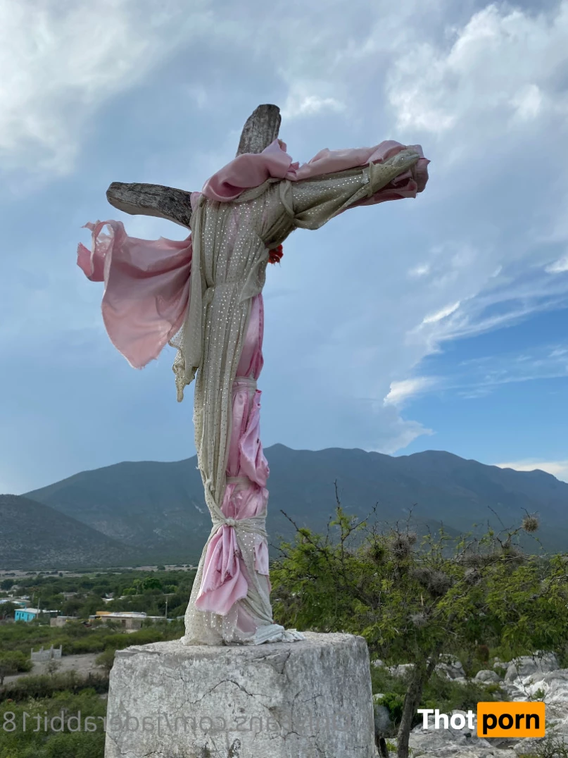 Jade ｡⋆ʚ♡⃛ɞ 6461986