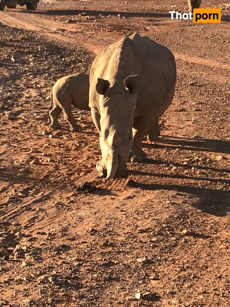 JimNewmanNYC 2232192