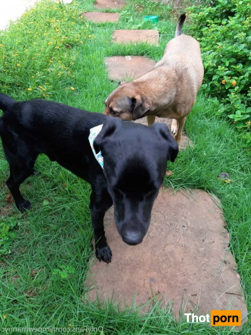 JimNewmanNYC 2232203