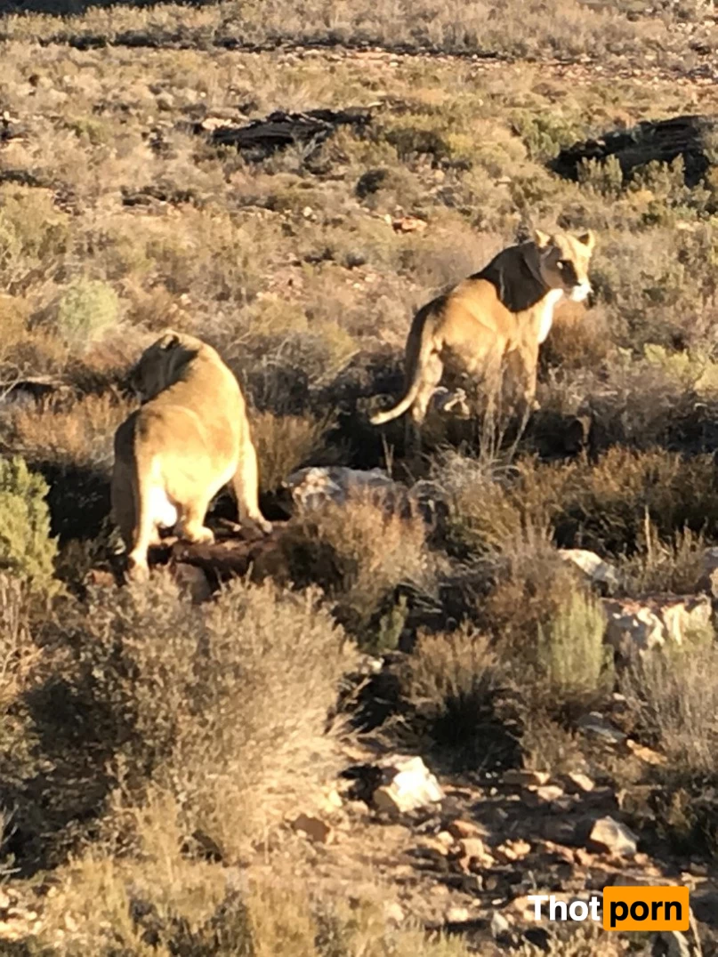 JimNewmanNYC 2232220