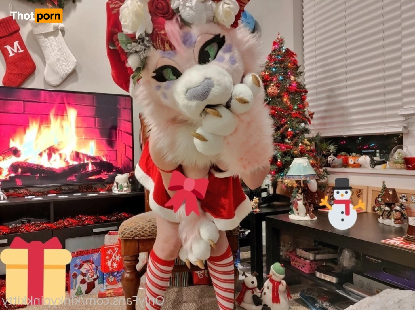 🌸Clementine🌸 6096931