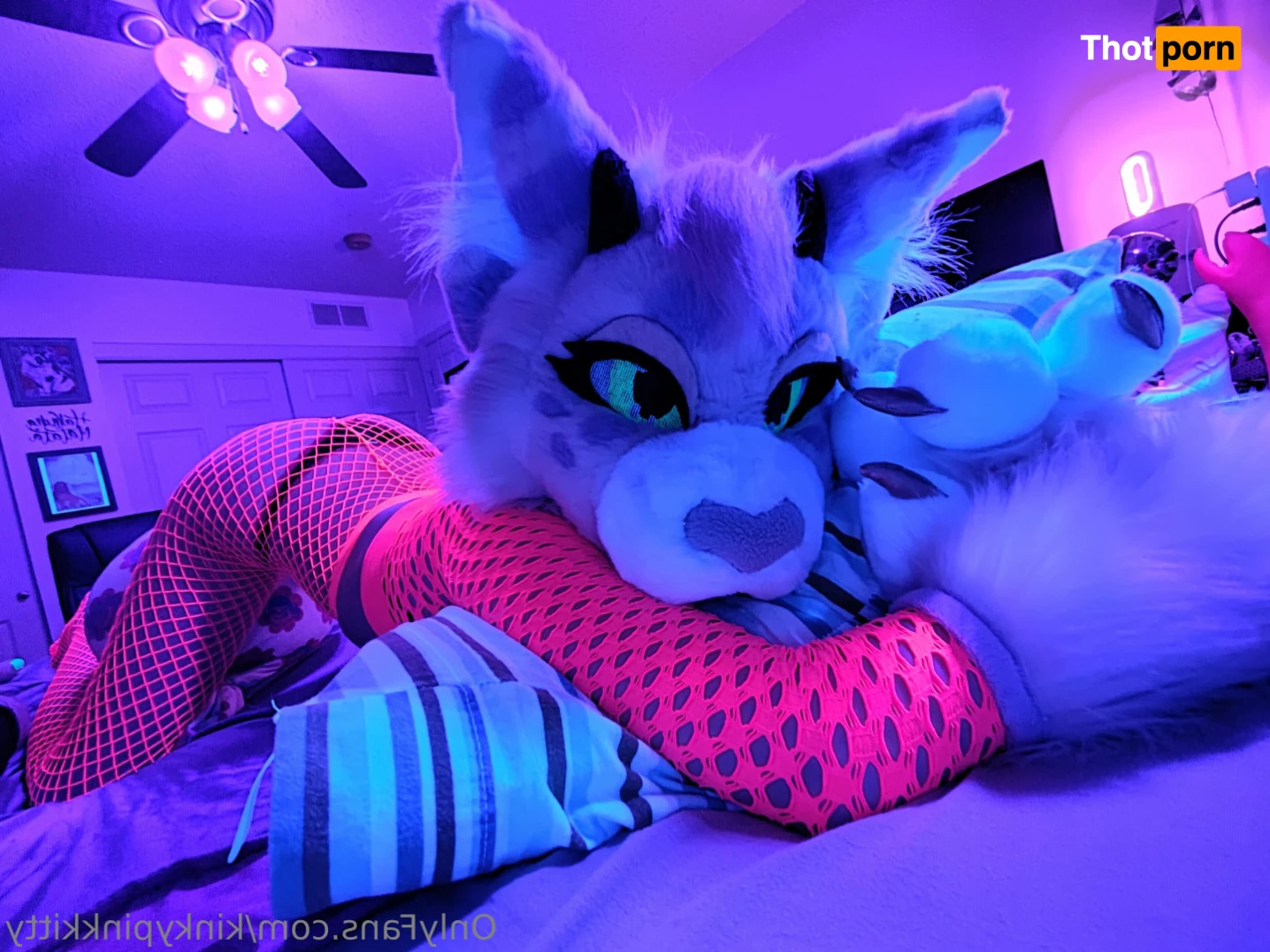 🌸Clementine🌸 9867279